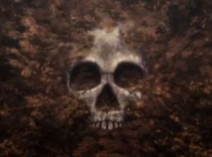 Image of a skull from the Beautiful Bones trailer